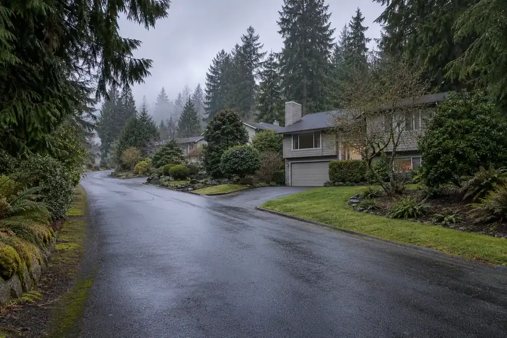 Illustration of a typical residential street in the East Renton Highlands, WA area