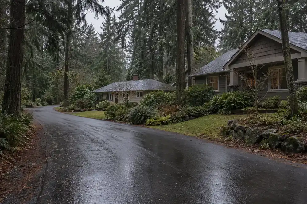 Illustration of a typical residential street in the Lake Morton-Berrydale, WA area