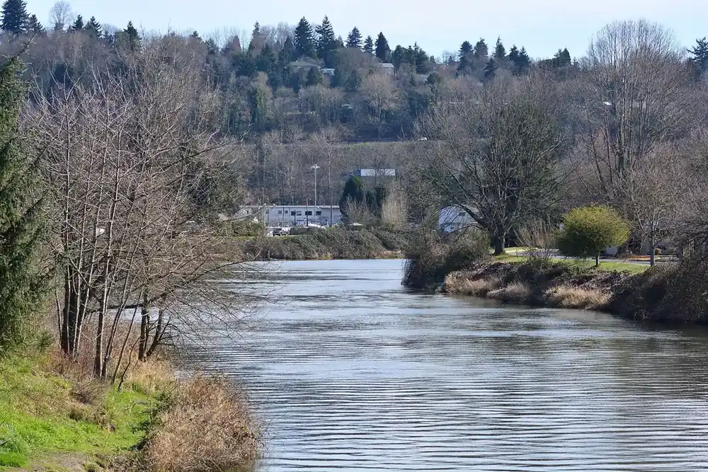 Duwamish River flowing between wooded banks, seen from the Allentown Bridge in Tukwila, Washington